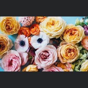 Meet your Posher, Natalie